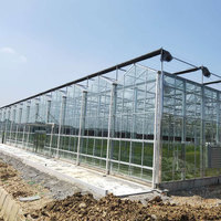 Serre en verre haut de gamme de grande taille avec panneaux isolants trempés, système d'automatisation horticole pour légumes, structure multi-chapelles
