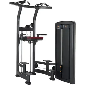 Best Gym Machine In China Commercial Pin Loaded Dip/Chin Assisted Chin Pull Up Machine for Body Building
