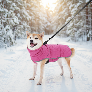 חליפת החלמה לאחר ניתוח לכלבים מבית Petcore IOT, בד נושם וידידותי לסביבה מכותנה/פוליאסטר/ניילון - Product Image 5