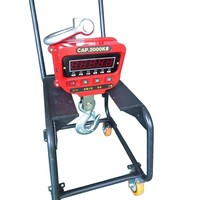 Balance de grue LED OCS-XZ-EX de marque TH approuvée ATEX, modèle antidéflagrant rotatif à 360° pour environnements à gaz inflammables, OEM/ODM
