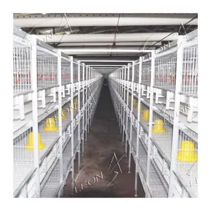 High Quality Bird 1m Cage Broiler Chicken Cage For Sale In Kenya