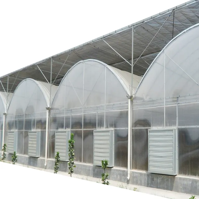 Thổ Nhĩ Kỳ nông nghiệp đa span phim nhựa màu xanh lá cây Nhà Dâu Tây cà chua thủy canh dọc phát triển hệ thống nhà kính