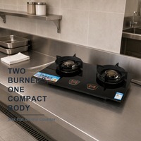 Kompor Dapur WANHENG Dua Tungku Kontrol Tombol, Kaca Temper, Permukaan Stainless Steel, Bahan Bakar Minyak Hemat Energi