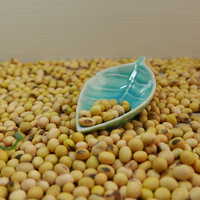 Prix des graines de soja par tonne de l'usine Nihewan