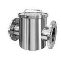 Extracteur de Fer Magnétique en Acier Inoxydable pour Tubes, Filtre Magnétique Liquide de Qualité Alimentaire, Tige Magnétique Haute Résistance, Chine