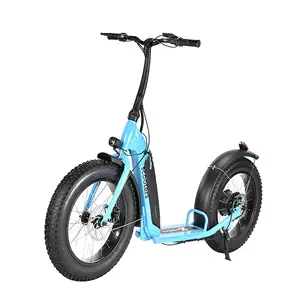 500w Cheap 2 Wheels Alloy Frame Electric Scooter For Sale