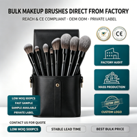 Lot de Pinceaux de Maquillage Professionnel de Haute Qualité Noir 30 Pièces, Personnalisé avec Logo sur Mesure, Synthétiques Véganes, de Luxe, pour Anti-Cernes Visage, Vente en Gros