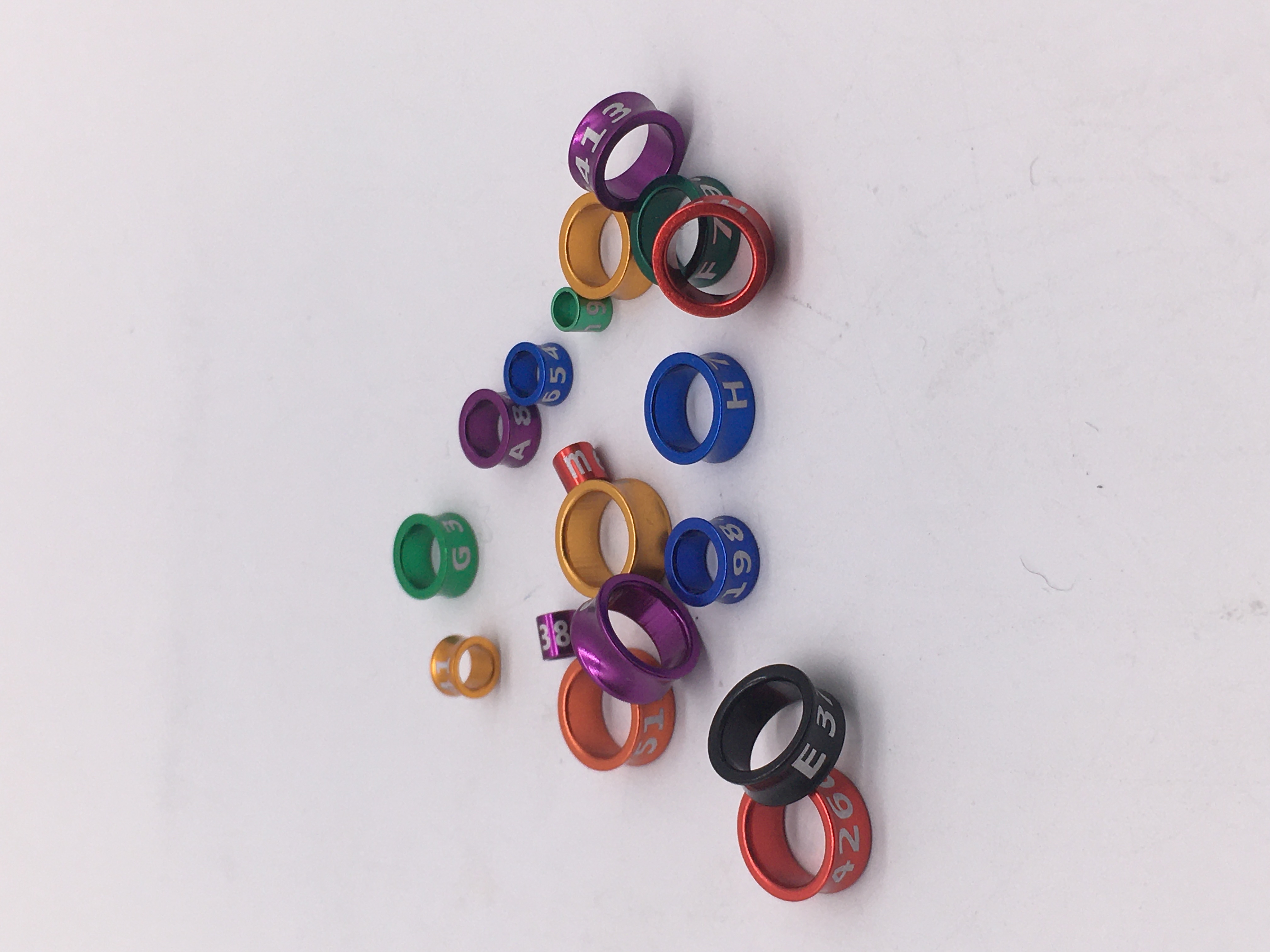 2 Stks Papegaai voet ring Open voet ring Papegaai stand voet ring