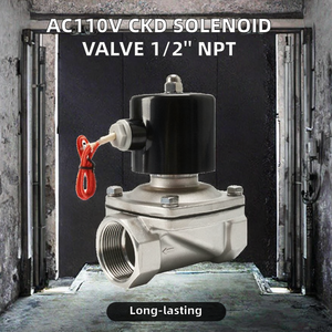 Válvula Solenoide de Acero Inoxidable AC220V 1/2 Pulgada NPT Tipo CKD Conector DIN Control de Agua Suministro OEM - Product Image 2