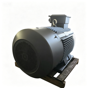 Motor de Alto Voltaje 6KV I Motor de Inducción Asíncrono Trifásico I 315Kw Eficiencia IE3 Serie Y2 - Product Image 2