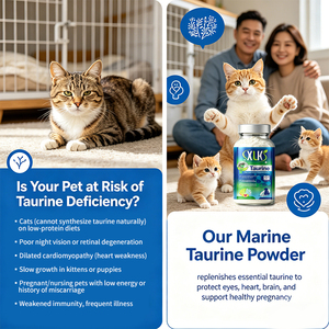 Poudre de taurine spéciale pour chiens et chats, OEM/ODM, contenant du carotène, de la lutéine et de la vitamine E, pour maintenir la santé des yeux et du cœur de tous les âges. - Product Image 3