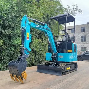 Mini escavatore 3.5 tonnellate idraulico escavatore mini escavatore caricatore insaccatrice con il prezzo competitivo CE compiacente