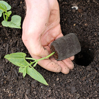 Échantillon Gratuit : Disques de Fibre de Coco de 3 cm, Pellets de Tourbe de Coco pour Plantation, Blocs de Cocopeat de Haute Qualité