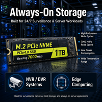Pabrik Nandstor OEM 1TB 2TB PCle NVMe SSD M.2 2280 PCIe 4.0 Drive Solid State Internal Kecepatan Tinggi untuk PC Gaming, Laptop Creator