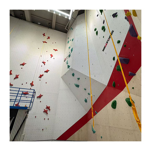 Muro de Escalada de Fibra de Vidrio a Precio de Fábrica, para Interiores y Exteriores, Gimnasio para Adultos, Parque Infantil, Parque Deportivo - Product Image 2