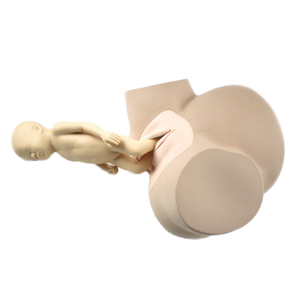 Modèles de livraison de démonstration d'accouchement, simulateur avancé de mannequin d'accouchement - Product Image 1