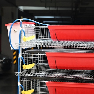 Nueva jaula <span class=keywords><strong>para</strong></span> poner huevos de <span class=keywords><strong>codorniz</strong></span> con alimentador y bebida <span class=keywords><strong>para</strong></span> uso doméstico conveniente <span class=keywords><strong>para</strong></span> el cuidado de codornices - Product Image 3