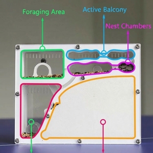 <strong>Ant</strong> Farming Castle Habitat Science Learning Kit <strong>Ant</strong> <strong>Farms</strong> for Live <strong>Ant</strong> Colony Educational Toy Kit for Kids - Product Image 5