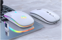 AIAMX Mouse Gaming optikal, cahaya penuh warna ramping 2.4Ghz 800-1600dpi Laptop kustom pengisian daya