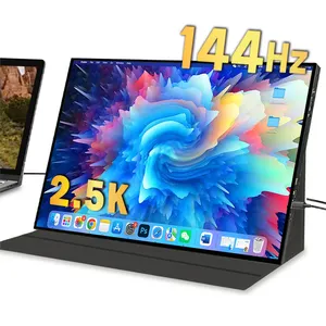 Pabrik Grosir Disesuaikan Ukuran 7 10.1 11.6 12.5 13.3 14.0 15.6 16.0 17.0 17.3 Inch Monitor Portabel untuk Laptop PC Monitor IPS