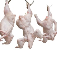 Sell Well Poultry Slaughterhouse Equipment