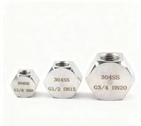 NES-1830 Penutup Pipa Heksagonal Eksternal Baja Tahan Karat Tekanan Tinggi Langsung dari Pabrik, 4mm, 5mm, Kepala Tahan Air dengan Ulir Internal