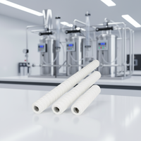 Filtre à fil enroulé personnalisé DM multi-industries, avec squelette en acier inoxydable, pour la dégraissage de récipients sous pression et le traitement de l'eau, 500 L/heure, 60