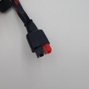 Ligne <span class=keywords><strong>de</strong></span> tension <span class=keywords><strong>de</strong></span> stockage d'énergie personnalisée 30A vers câble adaptateur stockage d'énergie alimentation électrique/<span class=keywords><strong>filet</strong></span> tissé à bande extérieure mobile extérieur - Product Image 6