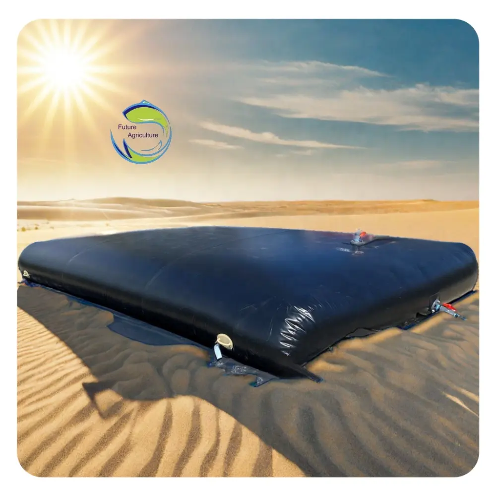 Poly Portable Diesel Fuel Water Tank Plastic Flexible Tpu Material Sheet For Motor Racing Marine Boating Fuel Bladder