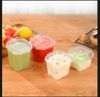 300ml Wegwerpbaar Vierkant Doorzichtig Plastic Bakje voor Cake, Mousse, Pudding en Fruitsalade