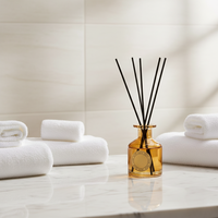 Diffuseur d'aromathérapie domestique de luxe personnalisé avec logo privé 100ML réutilisable