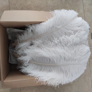 <span class=keywords><strong>Plumes</strong></span> <span class=keywords><strong>d</strong></span>'<span class=keywords><strong>autruche</strong></span> blanches teintées et duveteuses, Plumas De Avestruz, centre de table de 70 <span class=keywords><strong>cm</strong></span> pour <span class=keywords><strong>d</strong></span>écorations de table de mariage - Product Image 4