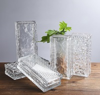 Bloc de verre isolé JINGHUA 200*100*50MM BRIQUE DE VERRE CRYSTAL-BZ GLACE