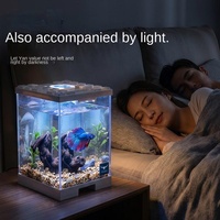Aquarium rectangulaire en acrylique pour poissons Betta, blocs de construction, mini aquarium de bureau et de salon avec lumière, boîte écologique