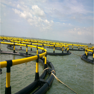 Jaula Circular Económica de HDPE para Peces, Tamaños Personalizados Disponibles para Negocios de Acuicultura Costera - Product Image 3