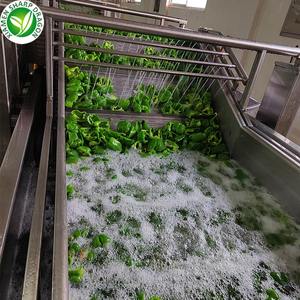 供应商批发优质有机出口IQF切片散装甜椒绿色红色黄色 - Product Image 4