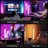Promotion Flash : Lumière d'Ambiance de Salle de Jeu RVB LED Intelligente pour Installation Gaming et Décoration Divertissement
