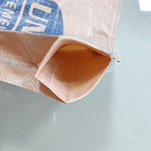 Sac de ciment 50kg de vente chaude de matériel PP parmi les pays africains - Product Image 4