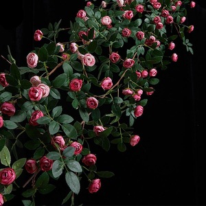 Guirlandes de roses artificielles uniques en soie pour décoration murale intérieure - Product Image 1