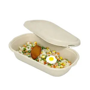Good Sell Biodegradable Sugarcane Bagasse Lunch Food Container Japanese Sushi Takeaway Box