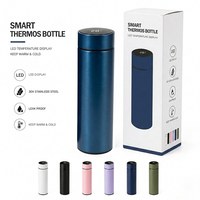 Bouteilles d'eau intelligentes de 500 ml avec affichage de la température, cadeau d'affaires, double paroi en acier inoxydable, tasses isothermes numériques