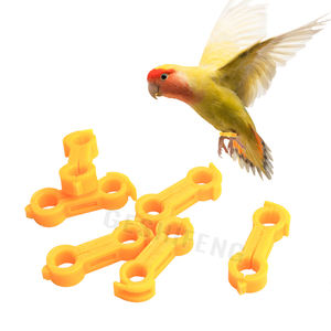 Finch Pigeon tobillo anillo corrector paloma anillo pierna anillo - Product Image 1