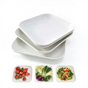 Assiettes carrées personnalisées pour fêtes, desserts, salades, collations, apéritifs, pour restaurant, pique-nique, camping - Product Image 1