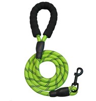 Corde d'escalade élastique réfléchissante de grande taille pour chien, cordon tressé en polyester/nylon