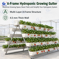 Système de culture hydroponique en PVC ChenChao en gros, gouttière hydroponique avec tuyau carré de 50 mm pour légumes