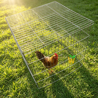 Cages pliables pour coqs de combat, taille personnalisée, cage à coqs en maille carrée, pliable et repliable pour le transport de coqs de combat