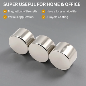 OEM Circular Magnet D30x20mm, N35-N52, Custom Plating/Color, for Speaker/Motor/Electronics/Bag - Product Image 5