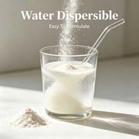 Poudre d'extrait de farine de riz naturelle Oryza Sativa, matière première pour la formule cosmétique et alimentaire, fournie directement par l'usine