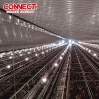 Équipement d'élevage avicole en cage automatique pour poulets de chair en gros pour ferme avicole commerciale
