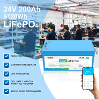 Batterie LiFePO4 24V 200Ah personnalisée pour camping-car et bateau, avec CAN RS485 Bluetooth BMS IP67, pour micro-remorque et jet-boat, idéale pour les aventures lacustres